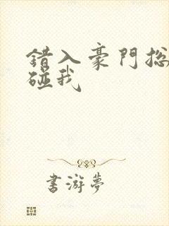 错入豪门总裁别碰我