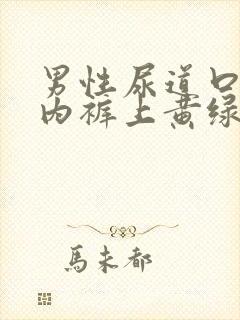 男性尿道口流脓内裤上黄绿色分泌物