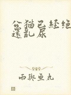 公猫已经绝育了还乱尿