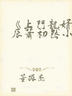 《上门龙婿》叶辰萧初然小说封面