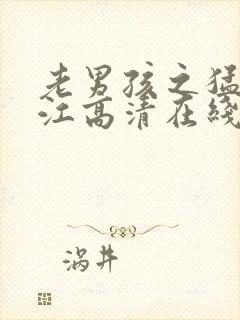 老男孩之猛龙过江高清在线观看