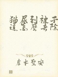 猫尿到被子上味道怎么去除