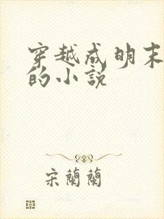 穿越成明末崇祯的小说