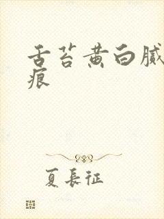 舌苔黄白腻有齿痕