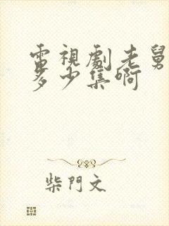 电视剧老舅一共多少集啊