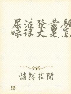 尿液发黄,骚臭味很大是怎么回事