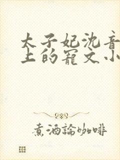 太子妃沈音和皇上的宠文小说