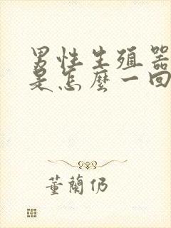 男性生殖器红痒是怎么一回事