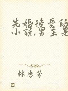 先婚后爱的军婚小说,男主是特种兵