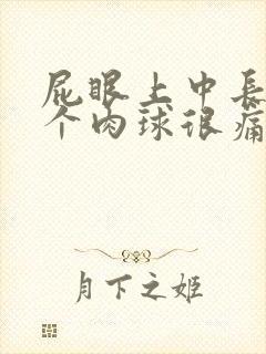 屁眼上中长了一个肉球很痛