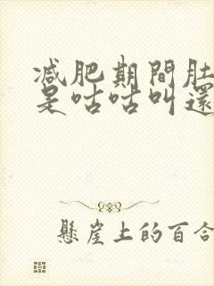 减肥期间肚子老是咕咕叫还放屁封面