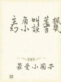 主角叫叶枫的玄幻小说有几个