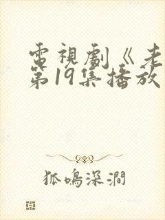 电视剧《老舅》第19集播放