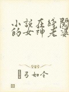 小说在线阅读我的女神老婆