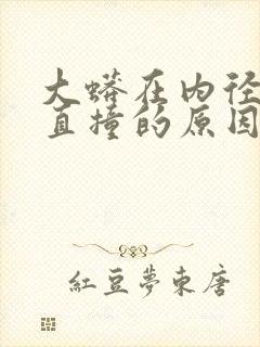 大蟒在内径横冲直撞的原因