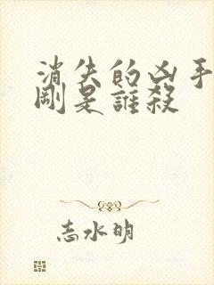 消失的凶手段志刚是谁杀