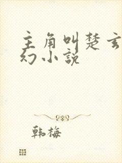 主角叫楚玄的玄幻小说封面