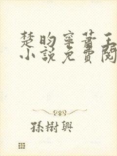 楚昀宁萧王穿越小说免费阅读无弹窗