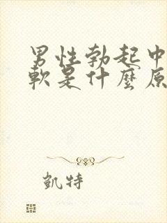 男性勃起中途疲软是什么原因引起的?