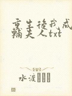 重生后我成了首辅夫人txt