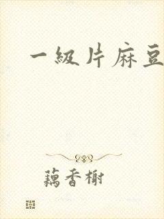 一级片麻豆av