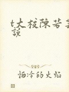 t大校陈若芸小说封面