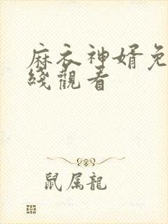 麻衣神婿免费在线观看