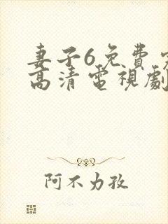 妻子6免费完整高清电视剧在线观看