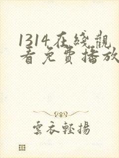1314在线观看免费播放电视剧1314影院封面