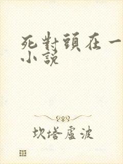 死对头在一起的小说