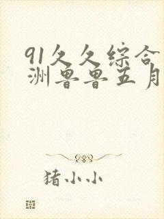 91久久综合亚洲鲁鲁五月天