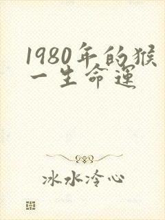 1980年的猴一生命运封面