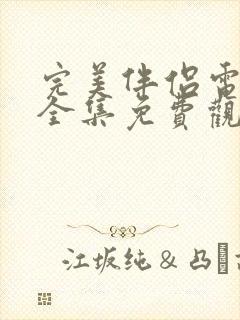 完美伴侣电视剧全集免费观看完整版