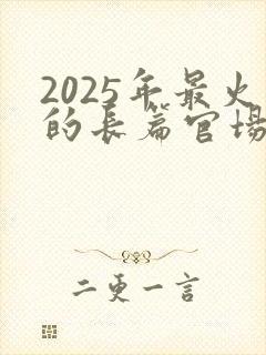 2025年最火的长篇官场小说