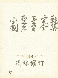 小圣手定乾坤短剧免费全集播放封面