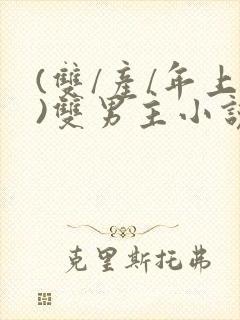 (双/产/年上)双男主小说