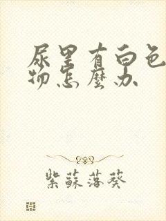 尿里有白色沉淀物怎么办