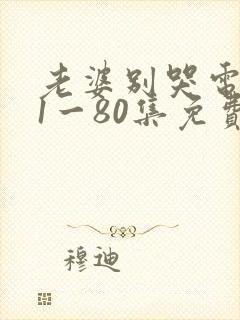 老婆别哭电视剧1一80集免费观看