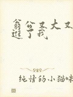 翁公又大又粗挺进了我