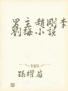 男主赵刚李晓雅刘梅小说封面