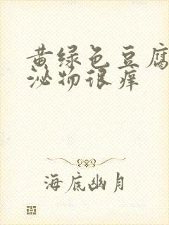 黄绿色豆腐渣分泌物很痒