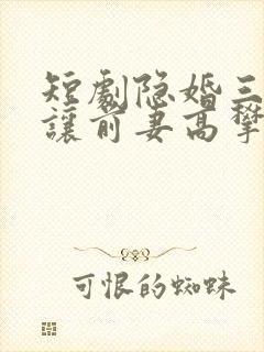 短剧隐婚三年我让前妻高攀不起封面