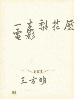 一支梨花压海棠电影