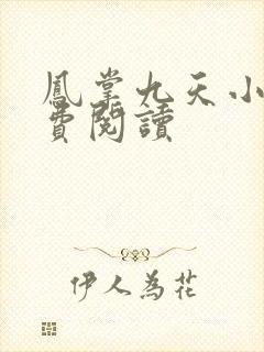 凤掌九天小说免费阅读