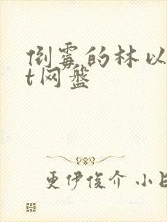 倒霉的林以txt网盘