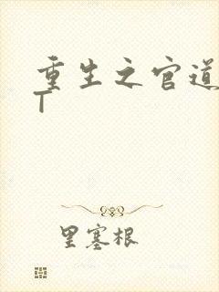 重生之官道TXT