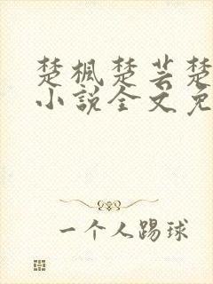 楚枫楚芸楚鸿飞小说全文免费阅读