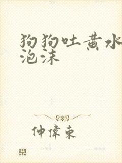 狗狗吐黄水带白泡沫