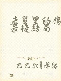 老舅里的杨小姐最后结局