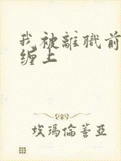 我被离职前上司缠上